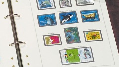 category image
