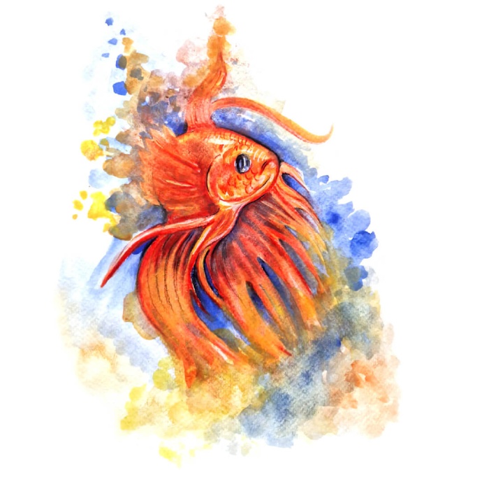 Ilustração com lápis de cor e aguarela