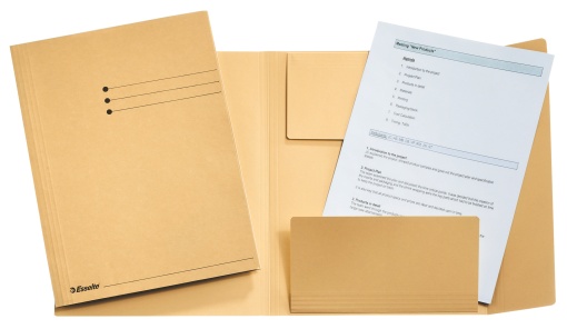 Pasta de Documentos ESSELTE 10333 A4 275g Bege 04