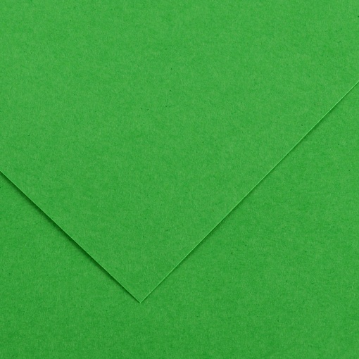 Cartolina CANSON IRIS VIVALDI A4 185g Verde Bilhar 29
