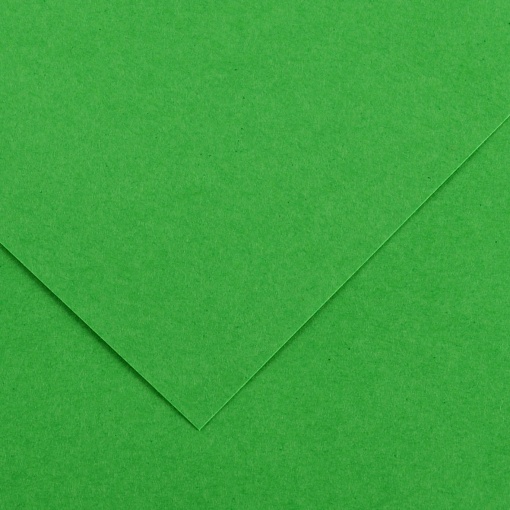 Cartolina CANSON IRIS VIVALDI A3 185g Verde Bilhar 29