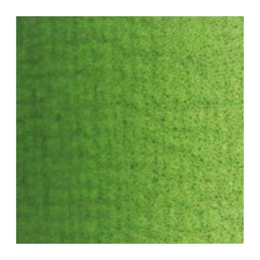 Tinta Óleo Van Gogh 623 S1 Verde Sapo 20ml