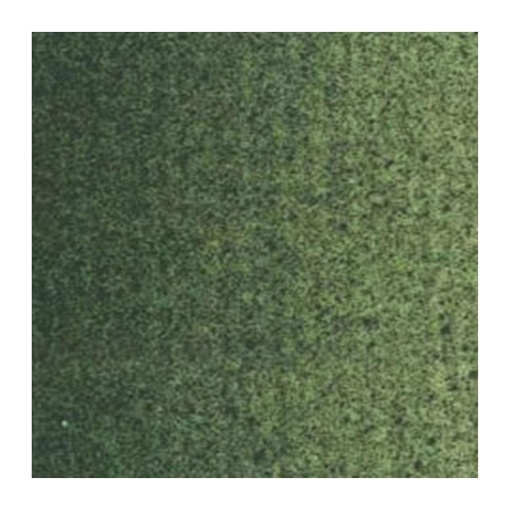 Tinta Óleo Van Gogh 629 S1 Verde Terra 20ml