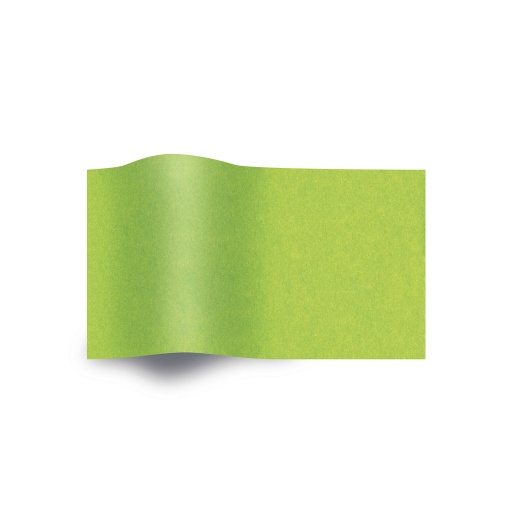 Papel Seda WEROLA 20g Verde Alface 13 50x70cm 5 unidades