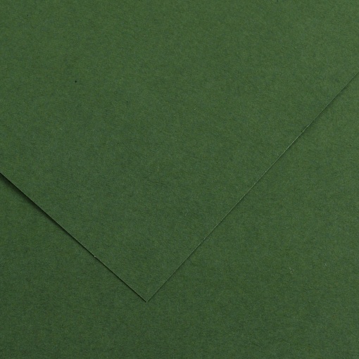 Cartolina CANSON IRIS VIVALDI A3 185g Verde Amazonas 31