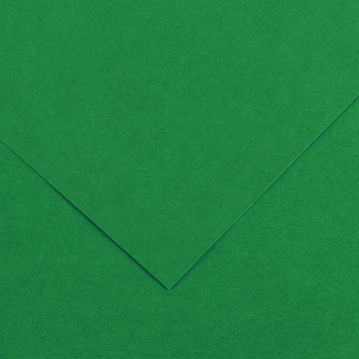 Cartolina CANSON IRIS VIVALDI A3 185g Verde Abeto 30