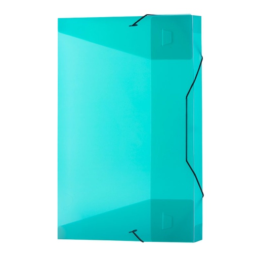 A3 VIQUEL Propyglass elastic folder, 30mm spine, assorted designs.
