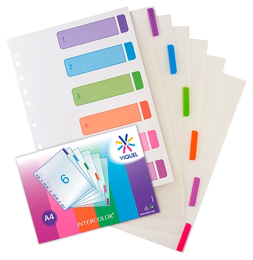Separador Plástico A4 6 Posições VIQUEL Intercolor Cores Sortidas