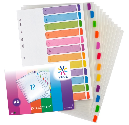 Separador Plástico A4 12 Posições VIQUEL Intercolor Cores Sortidas