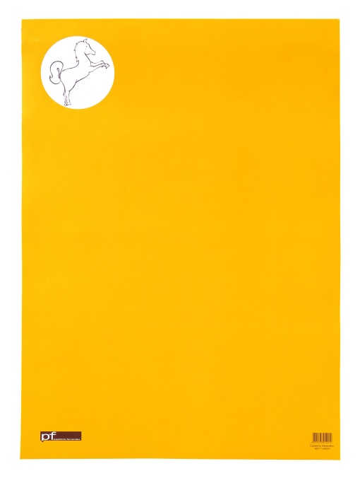 Bloco de Desenho CAVALINHO PF A2 125g 24 folhas