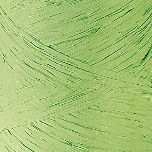 Ráfia em Rolo Polyraphia 15mmx200m Verde Claro