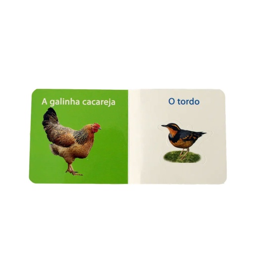 Pequeno Livro (6 Títulos) EUROPRICE Sortido