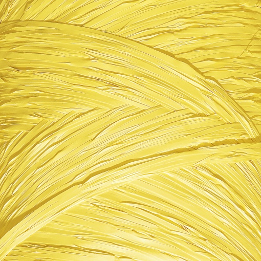 Ráfia em Rolo Polyraphia 15mmx200m Amarelo