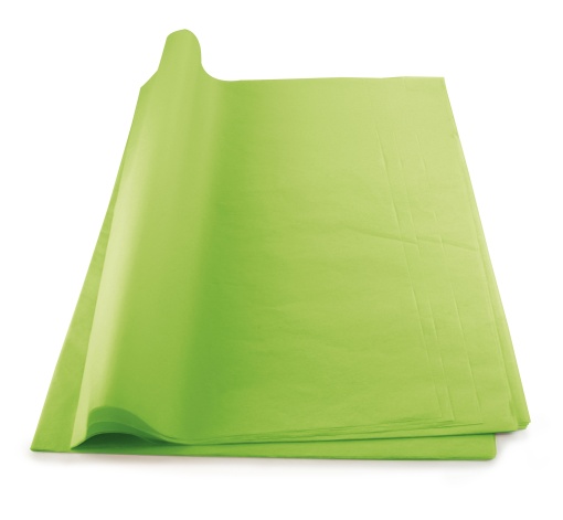 Papel Seda WEROLA 20g Verde Alface 13 50x70cm 26 unidades