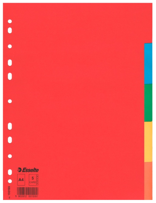 Separador Cartolina A4 5 Posições ESSELTE Cores Sortidas