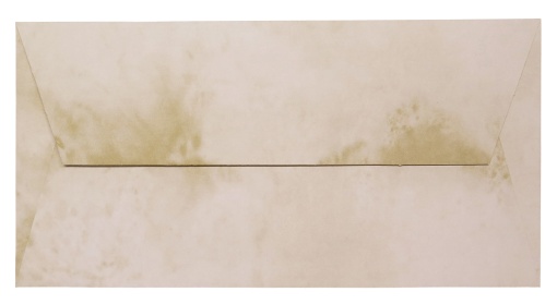 Envelope Pergaminho SIMPLY DL 110x220mm Sépia com 10