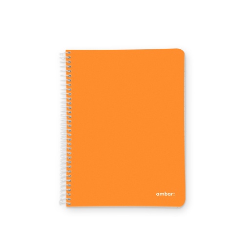 Caderno A4 Capa Plástica Espiral AMBAR School Pautado 100 folhas 70g Sortido