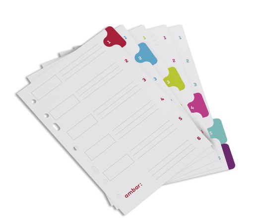 Separador Cartolina A5 6 Posições AMBAR School