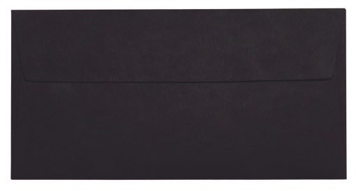 Envelope Arco-íris SIMPLY DL 110x220mm Preto com 10
