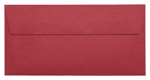 Envelope Arco-íris SIMPLY DL 110x220mm Bordeaux com 10