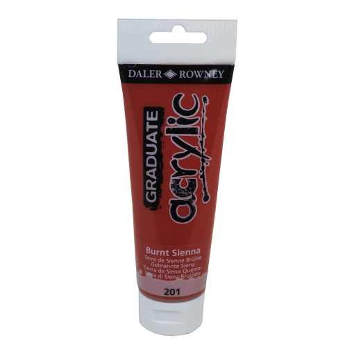 Tinta acrílica DALER-ROWNEY Graduate castanho 123120201 120ml