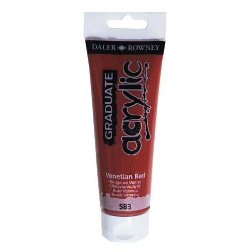 Tinta acrílica DALER-ROWNEY Graduate castanho 123120583 120ml