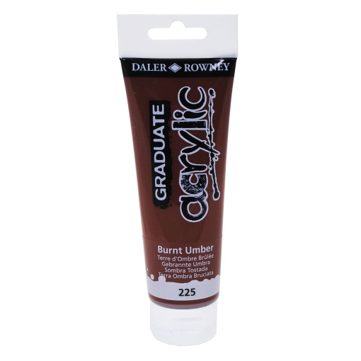 Tinta acrílica DALER-ROWNEY Graduate castanho 123120225 120ml
