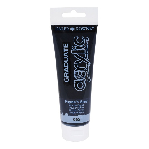 Tinta acrílica DALER-ROWNEY Graduate cinza 123120065 120ml