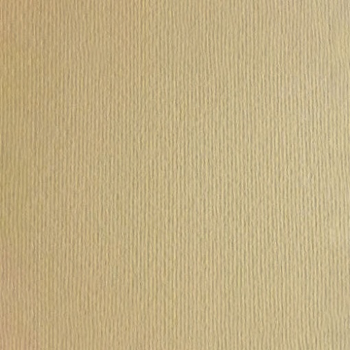 Cartón Fabriano texturizado 70x100 220g crema