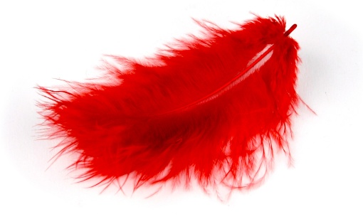 Penas MEYCO 10/12cm vermelho - 17 unidades