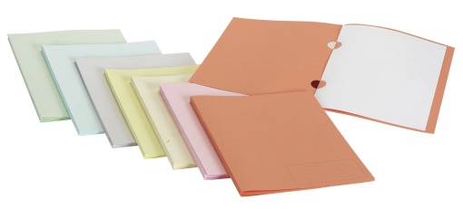 Classificador Cartolina ANCOR 227x310mm Creme 101 180g com Patilha