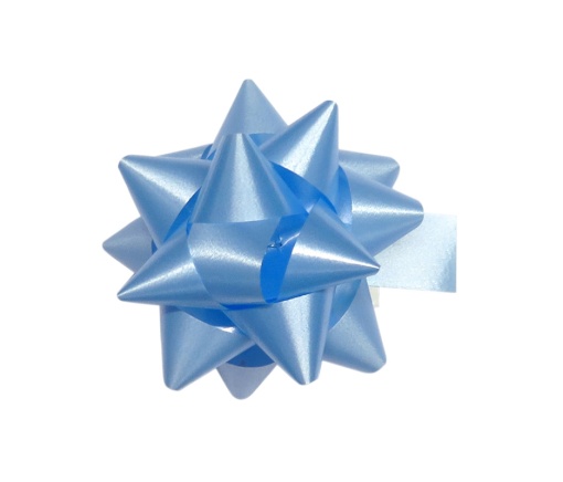 Laço Brizz 19mm Azul 06