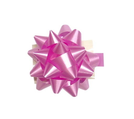 Laço Brizz 10mm Rosa 15