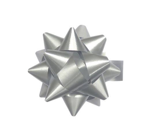 Laço Brizz 19mm Prateado 04