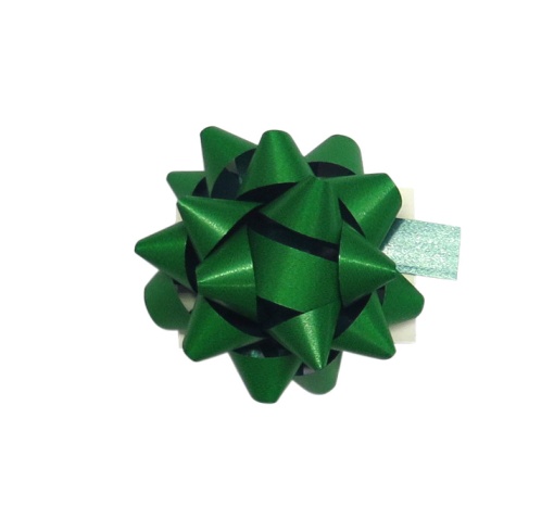 Laço Brizz 10mm Verde 09