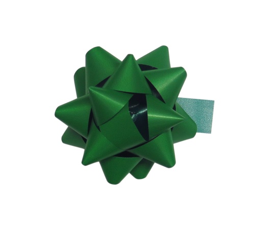 Laço Brizz 20mm Verde 09