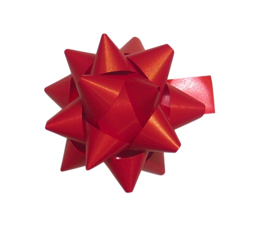 Laço Brizz 20mm Vermelho 07