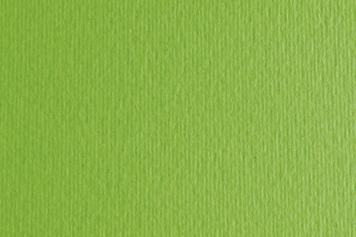 Cartolina FABRIANO Texturada 50x70cm 220g Verde Alface