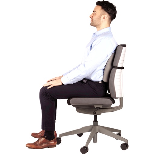 Almofada lombar ergonómica FELLOWES