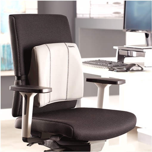 Almofada lombar ergonómica FELLOWES