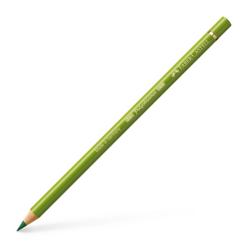 Lápis de Cor FABER-CASTELL Polychromos Verde Musgo 168
