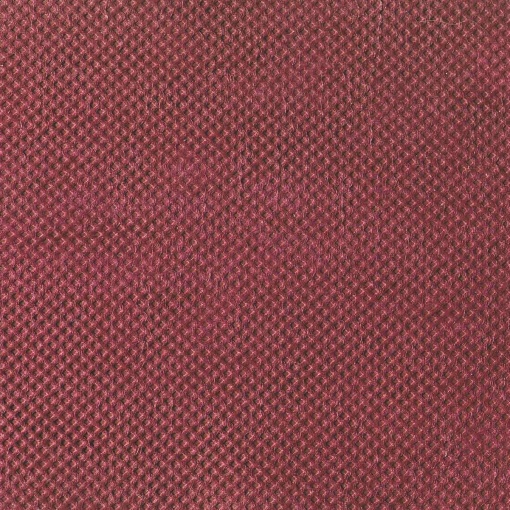 TNT 0,80x20m 60g bordéus