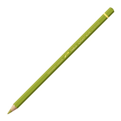 Lápis de Cor Caran D'ache Pablo Verde Cáqui 016