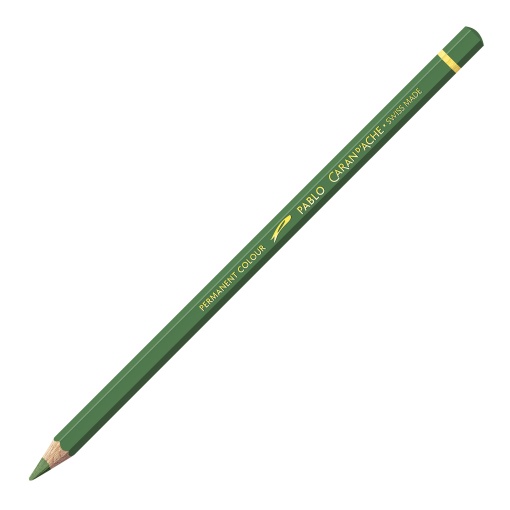 Lápis de Cor Caran D'ache Pablo Verde Musgo 225
