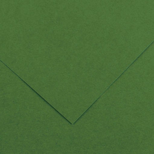 Cartolina CANSON IRIS VIVALDI A4 185g Verde 89