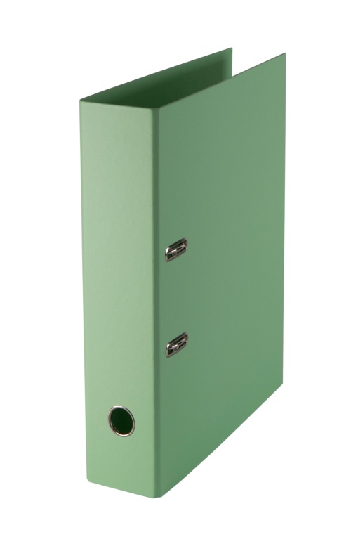 Pasta de Arquivo CARTONEX A4 Comercial lombada de 80mm 2 Argolas Verde Pastel