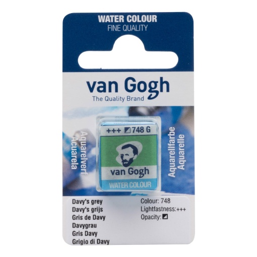 Aguarela em Pastilha TALENS VAN GOGH Cinza Davy 748