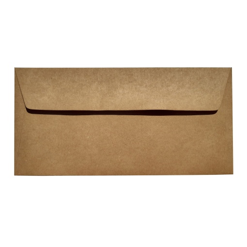 Envelope Kraft SIMPLY DL 110x220mm 125g 10 unidades