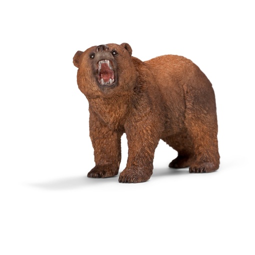 Urso Pardo SCHLEICH Wild Life