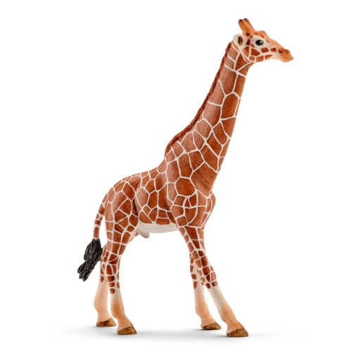 Girafa Macho SCHLEICH WILD Life